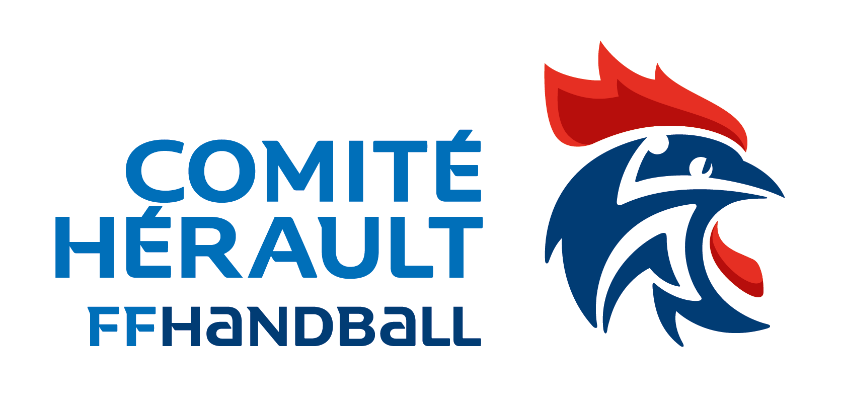 Comité Hérault Handball